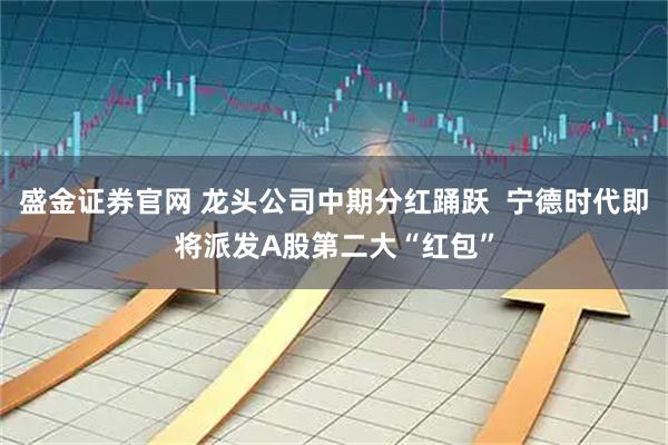 盛金证券官网 龙头公司中期分红踊跃  宁德时代即将派发A股第二大“红包”